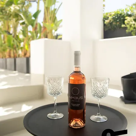 酒店 Hotiday Mykonos North Coast 圣斯特凡诺斯